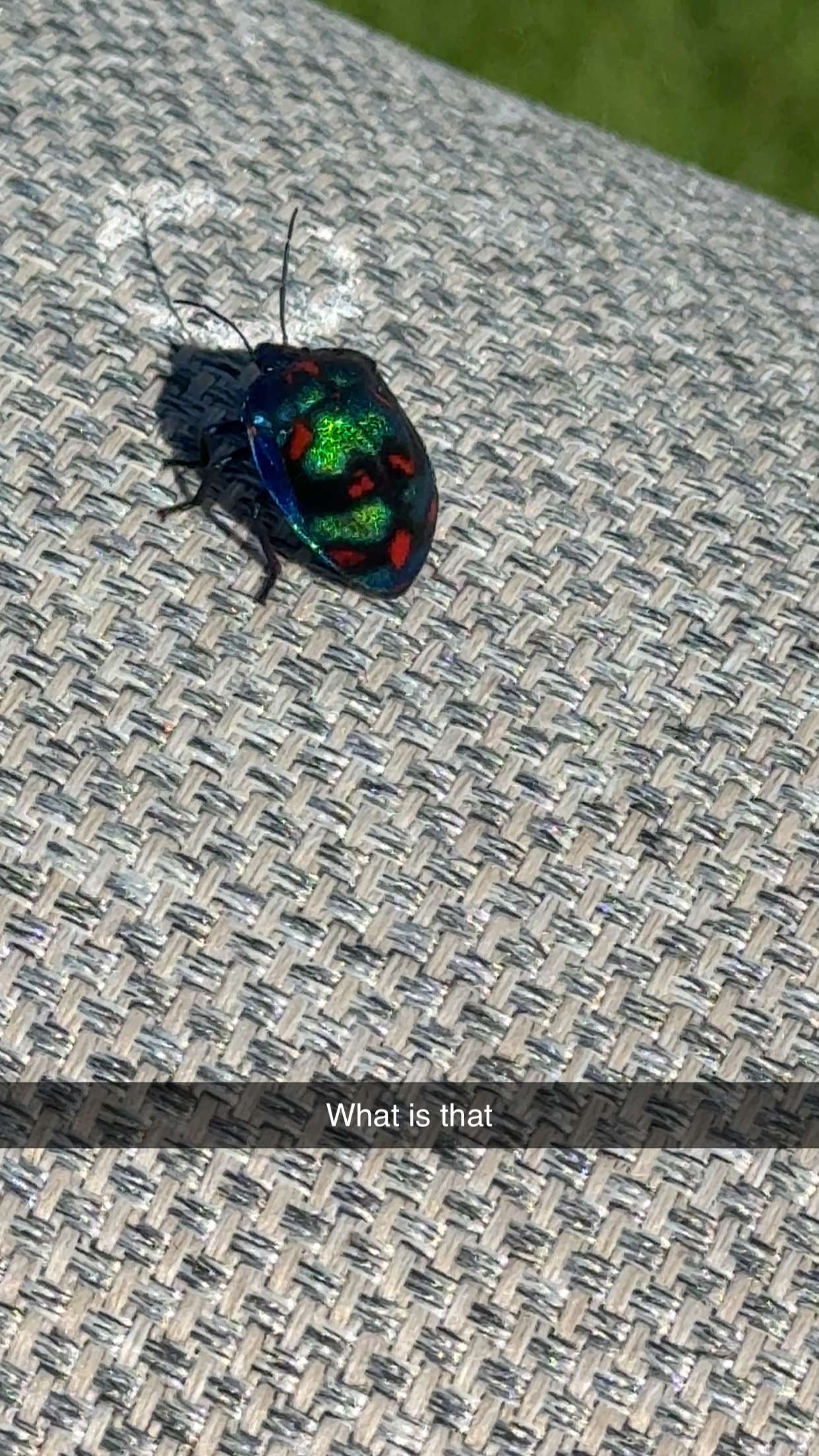 ppwyang0 snapchat image archive image