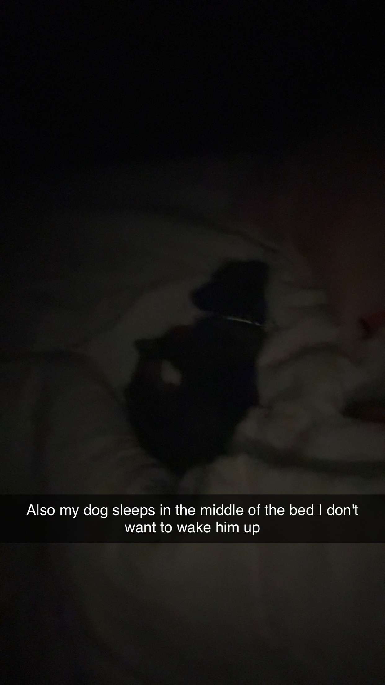 ppwyang0 snapchat image archive image