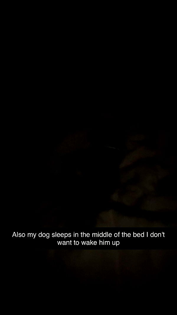 ppwyang0 image ~ Altpins