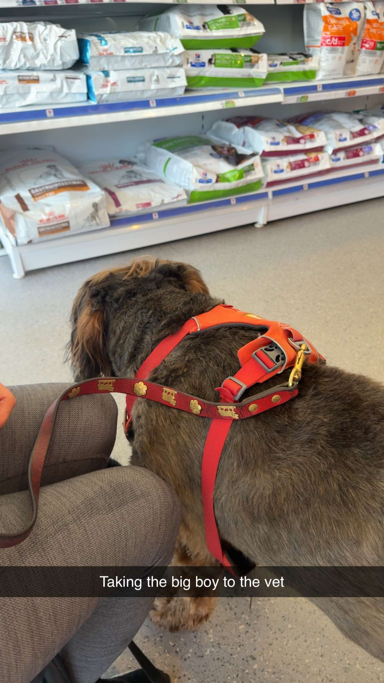 ppwyang0 snapchat image archive image