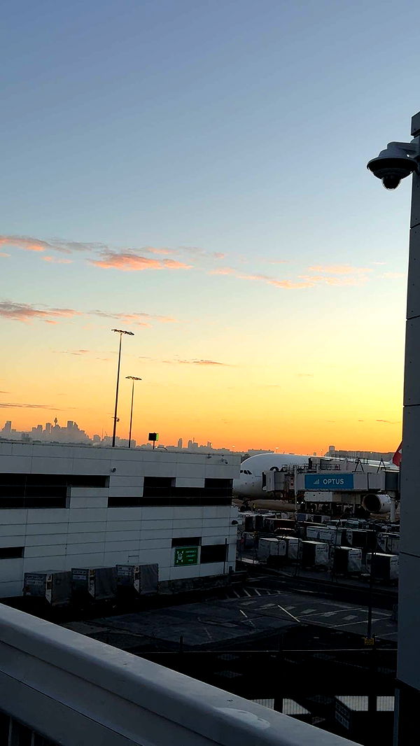 ppwyang0 image ~ Altpins