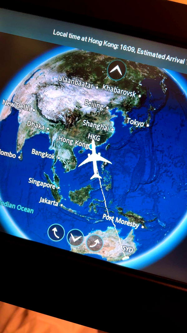 ppwyang0 image ~ Altpins