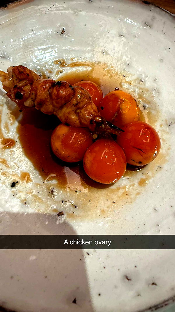 ppwyang0 image ~ Altpins