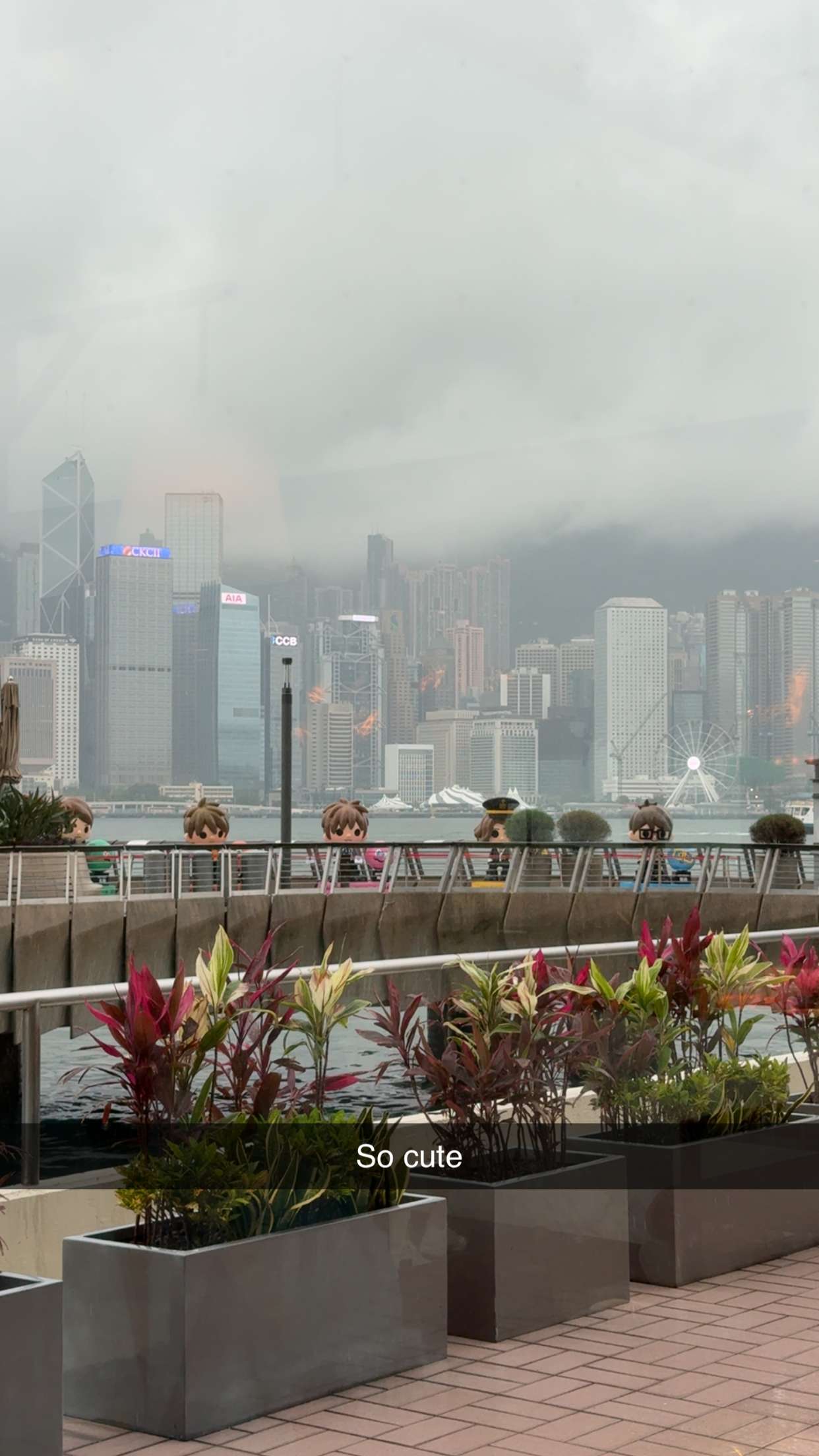 ppwyang0 snapchat image archive image