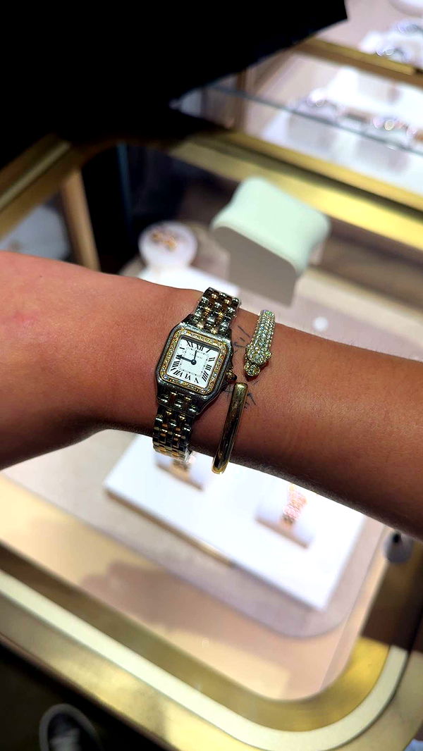 ppwyang0 image ~ Altpins