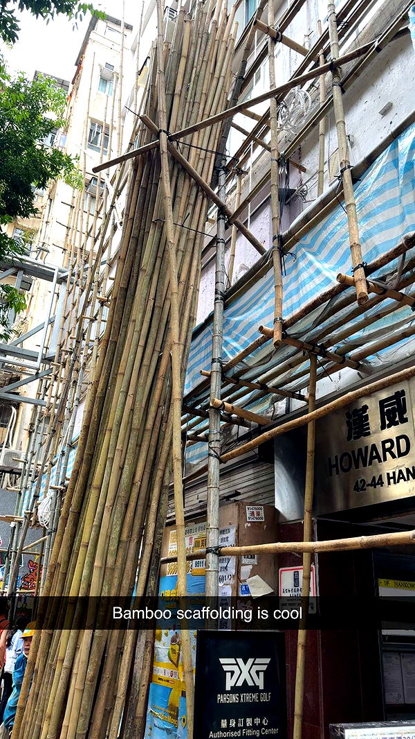 ppwyang0 image ~ Altpins