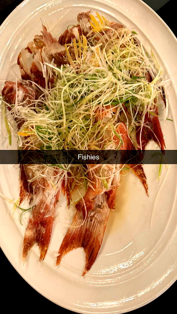 ppwyang0 image ~ Altpins