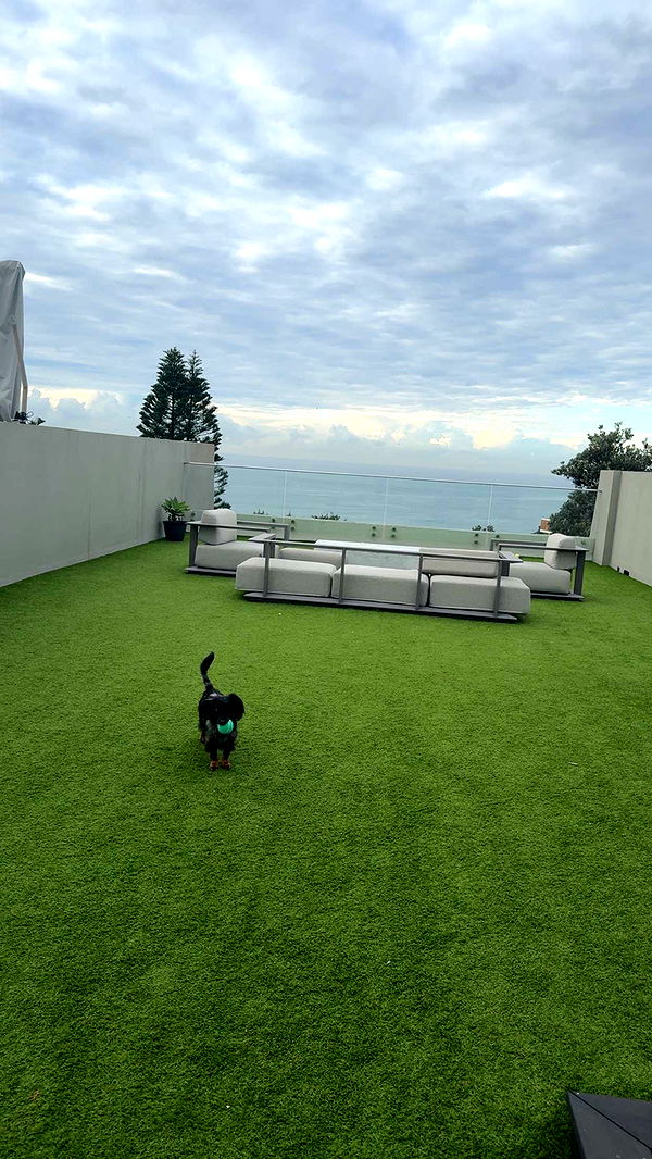 ppwyang0 image ~ Altpins