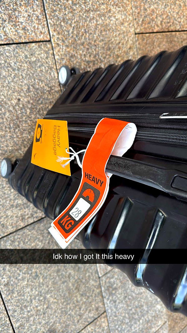 ppwyang0 image ~ Altpins