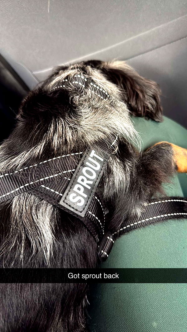 ppwyang0 image ~ Altpins