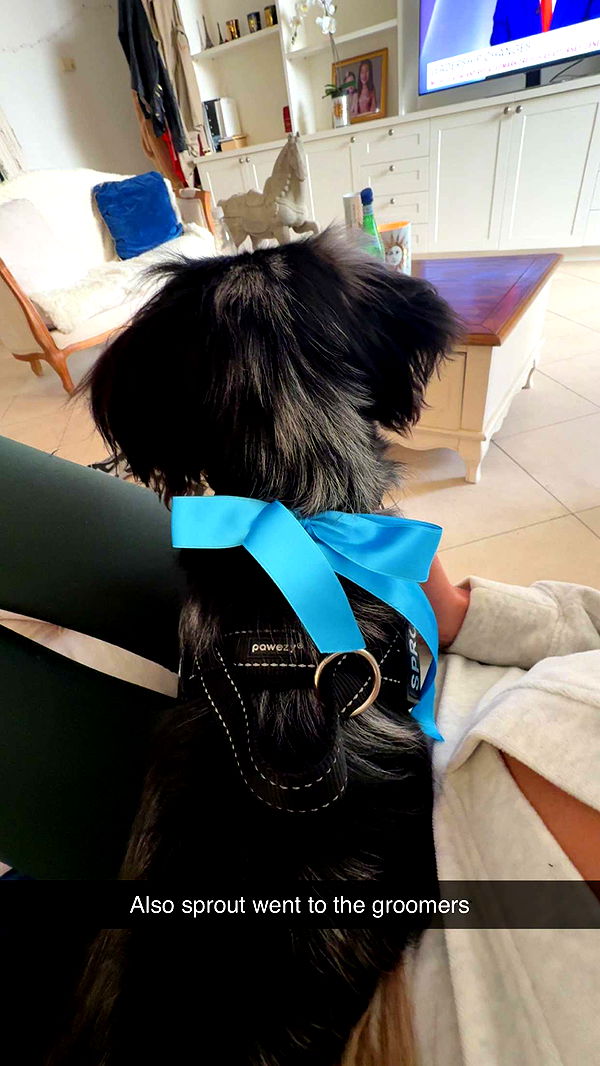 ppwyang0 image ~ Altpins