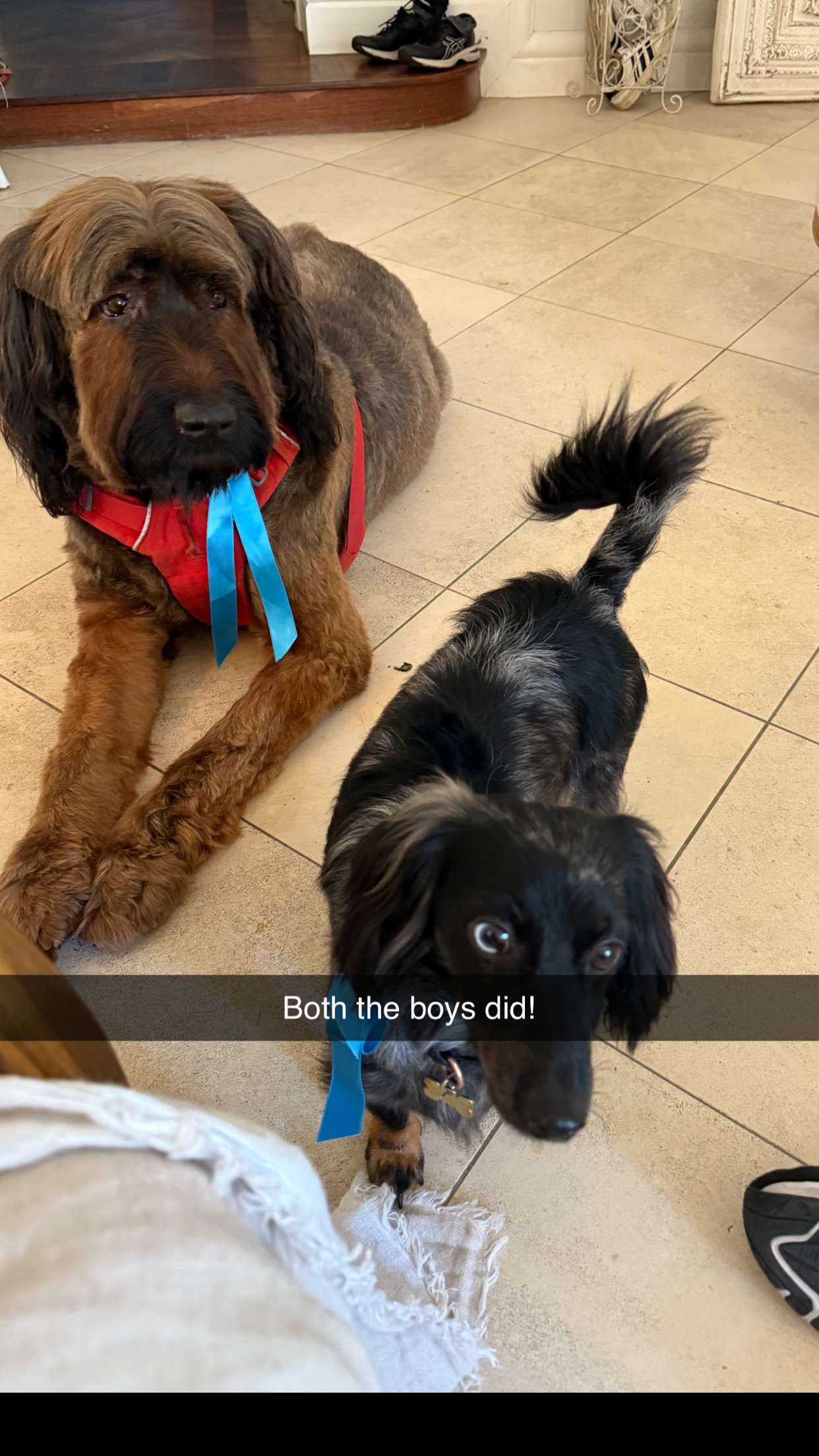 ppwyang0 snapchat image archive image