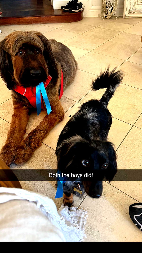 ppwyang0 image ~ Altpins