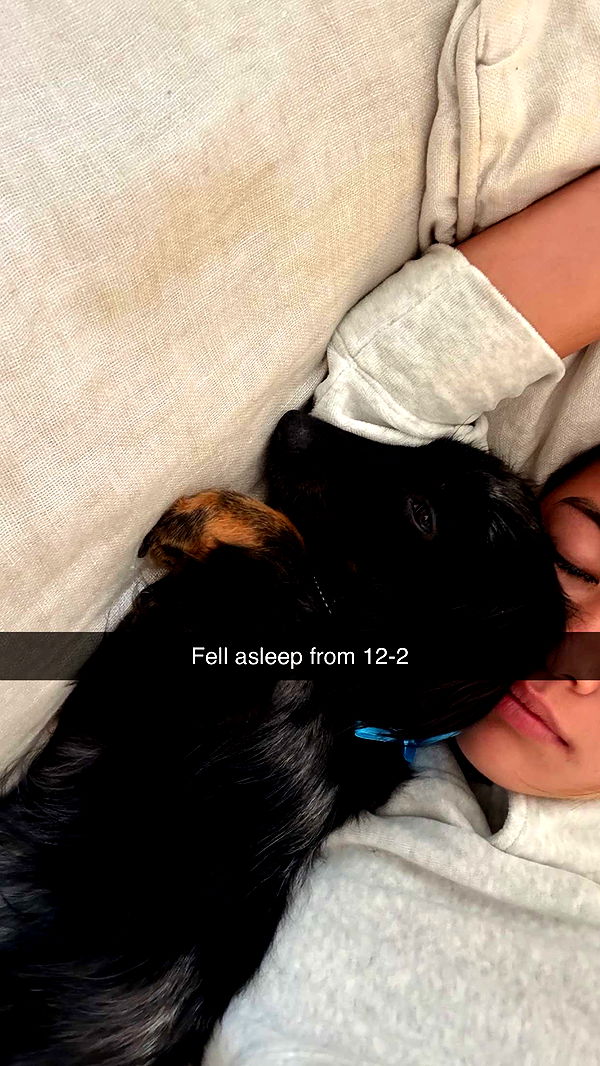 ppwyang0 image ~ Altpins