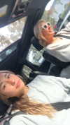 ppwyang0 Altpins Profile Picture