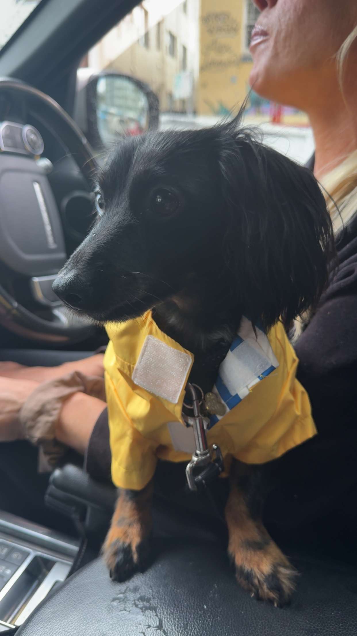 ppwyang0 snapchat image archive image