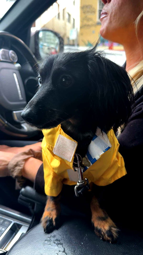 ppwyang0 image ~ Altpins