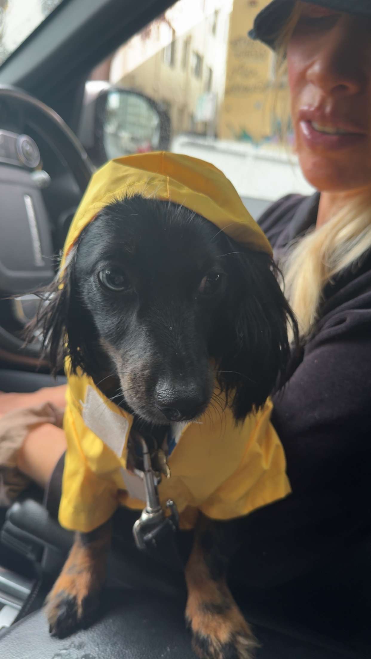 ppwyang0 snapchat image archive image