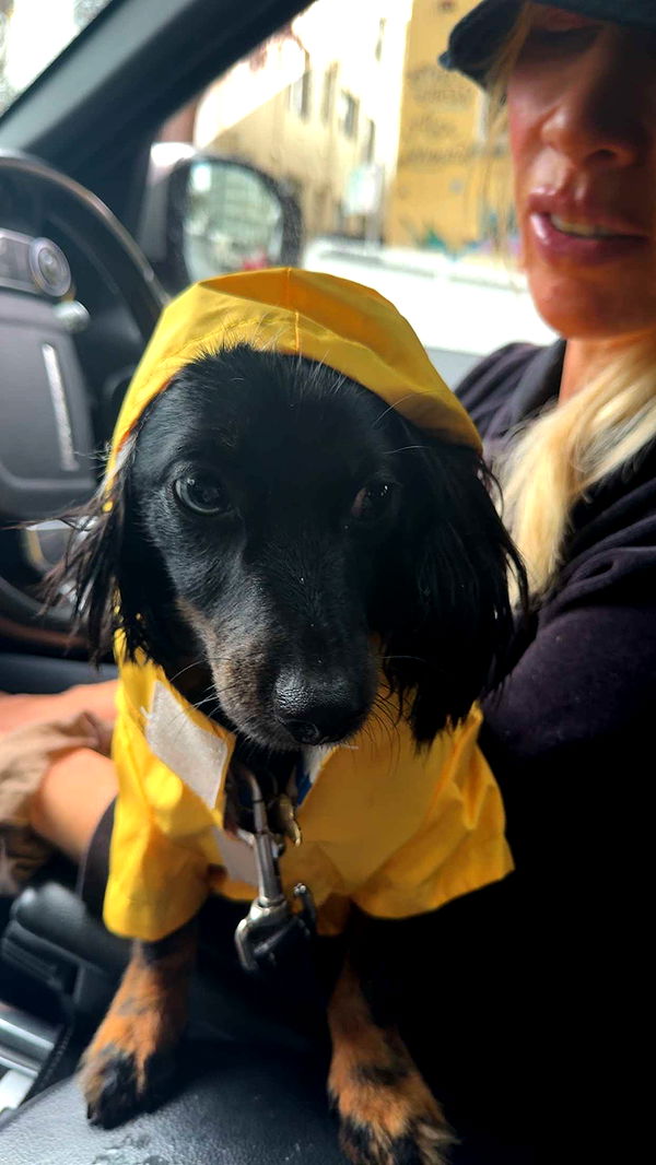 ppwyang0 image ~ Altpins