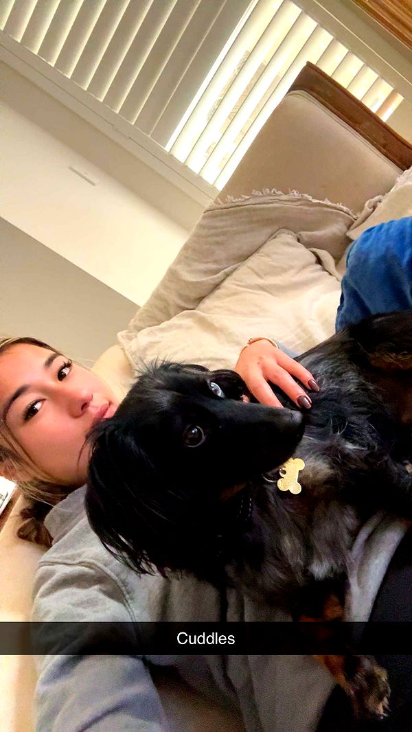 ppwyang0 image ~ Altpins