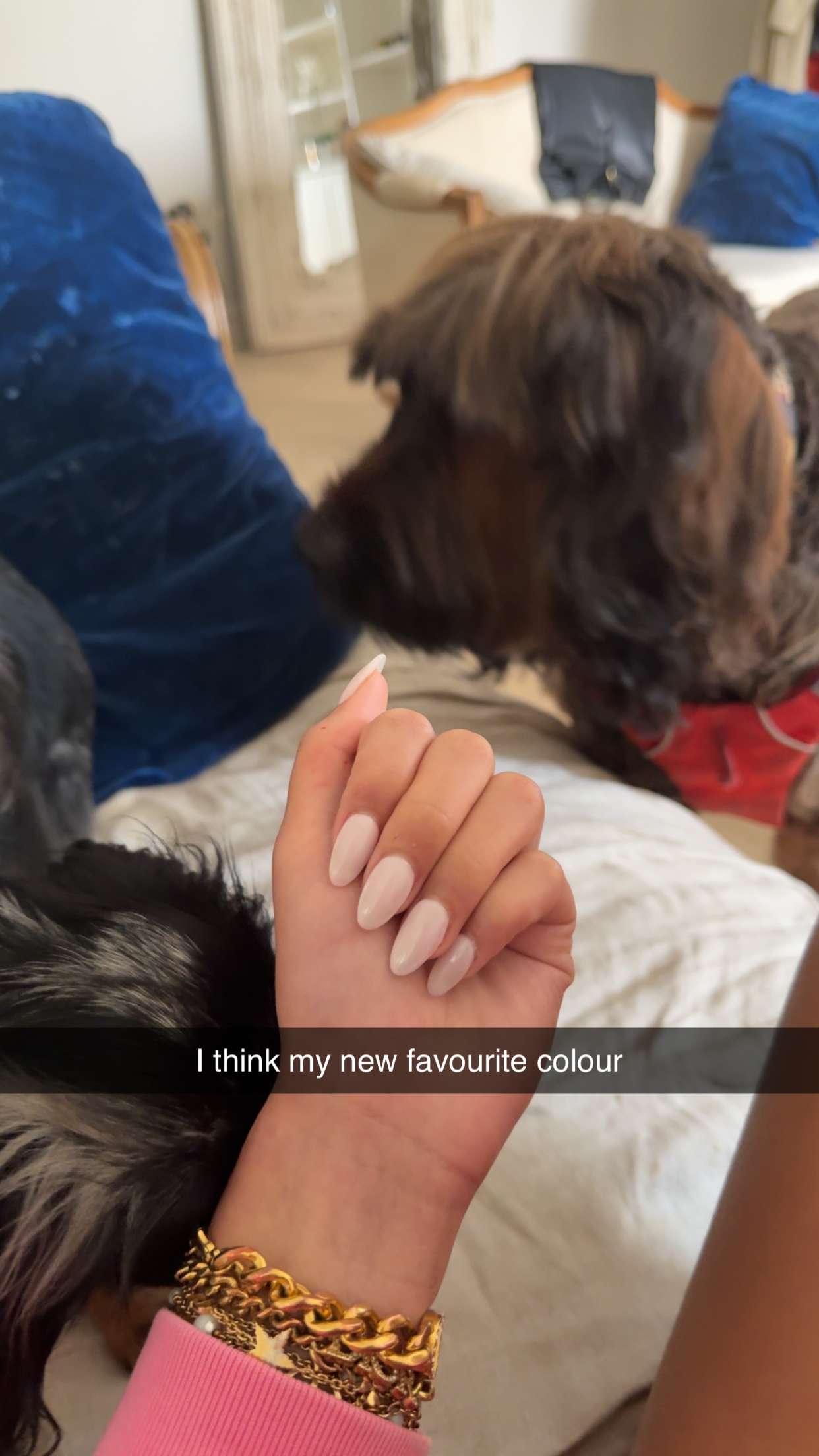 ppwyang0 snapchat image archive image