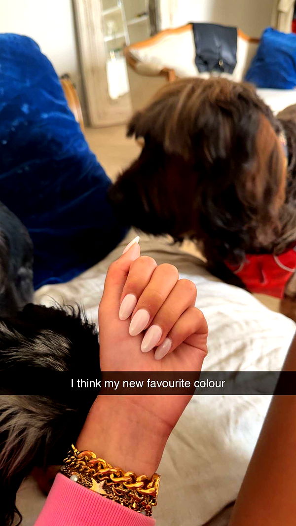 ppwyang0 image ~ Altpins