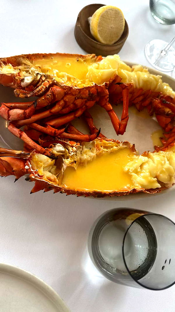 ppwyang0 image ~ Altpins