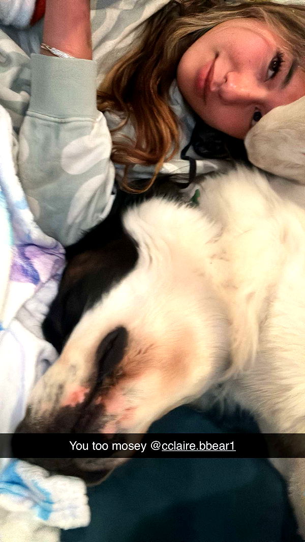 ppwyang0 image ~ Altpins