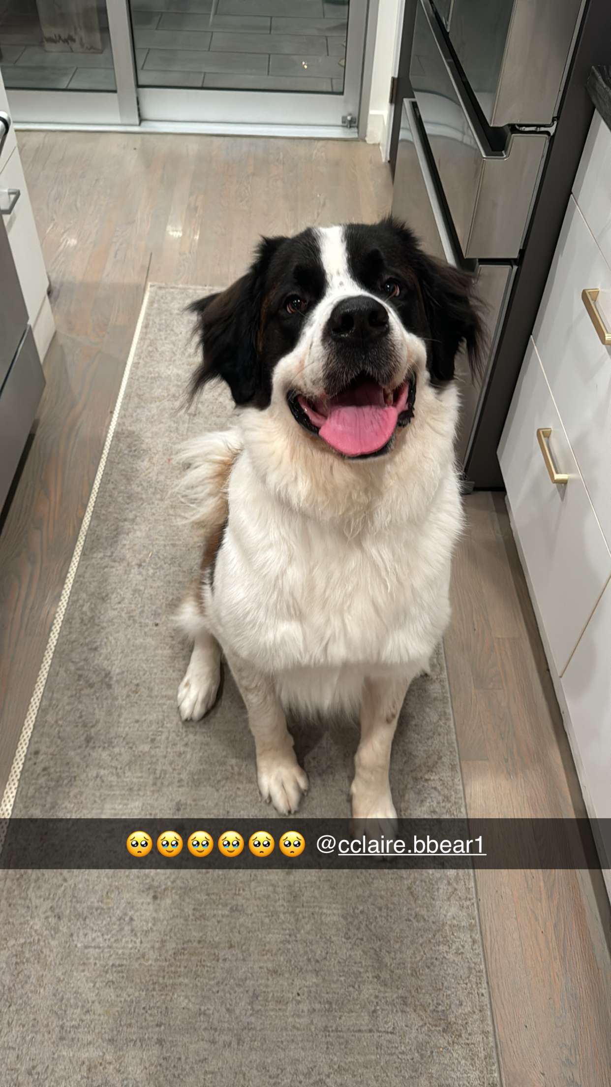 ppwyang0 snapchat image archive image