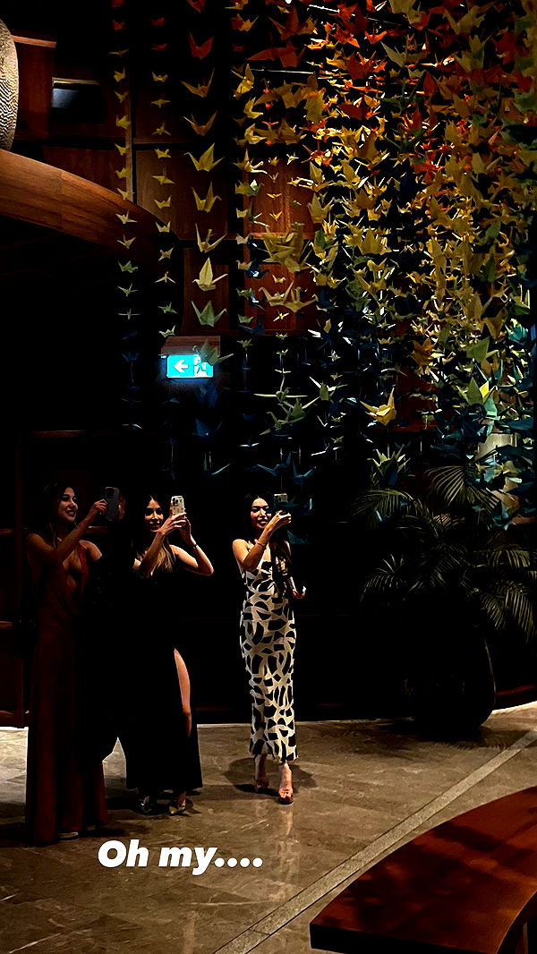 ppwyang0 image ~ Altpins