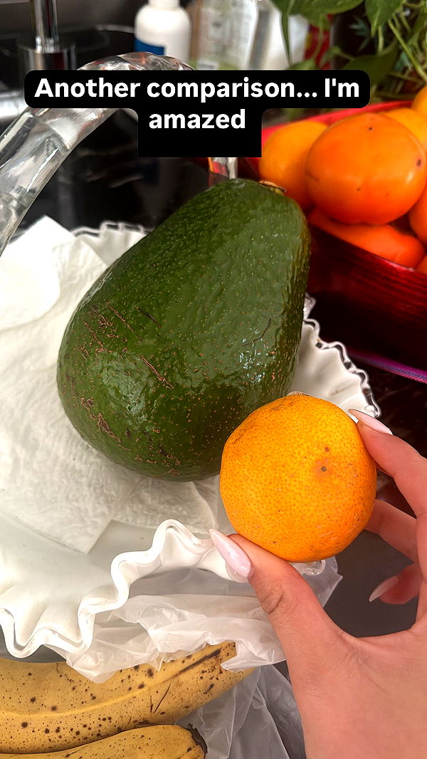 ppwyang0 image ~ Altpins