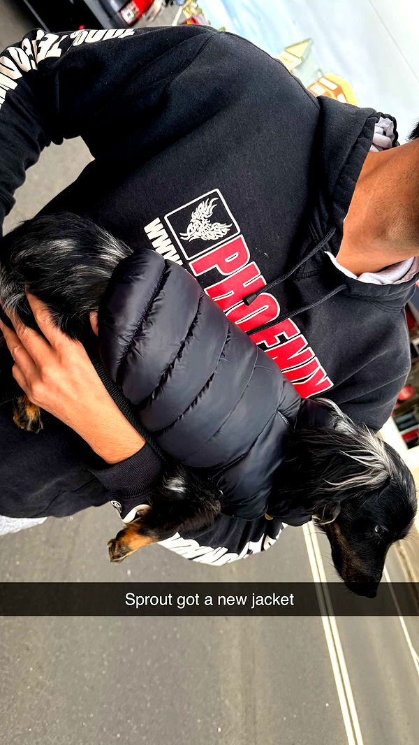 ppwyang0 image ~ Altpins