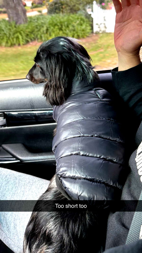 ppwyang0 image ~ Altpins