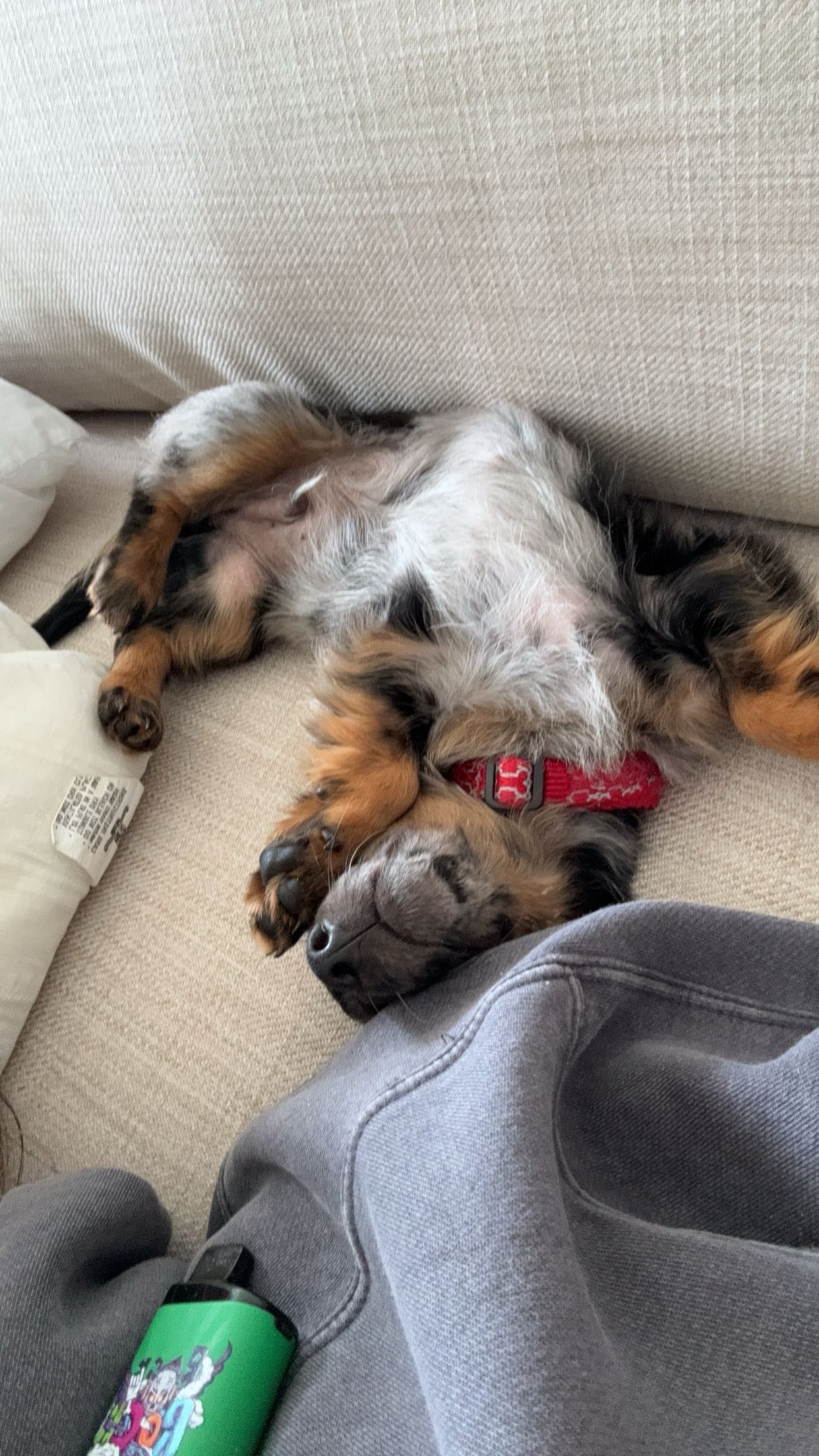 ppwyang0 snapchat image archive image