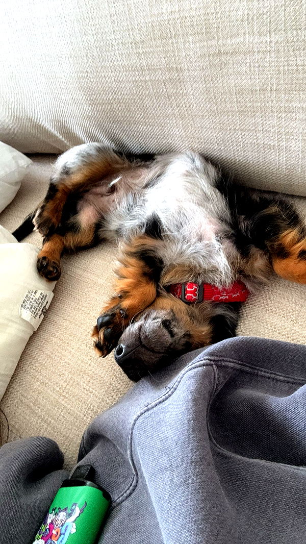 ppwyang0 image ~ Altpins