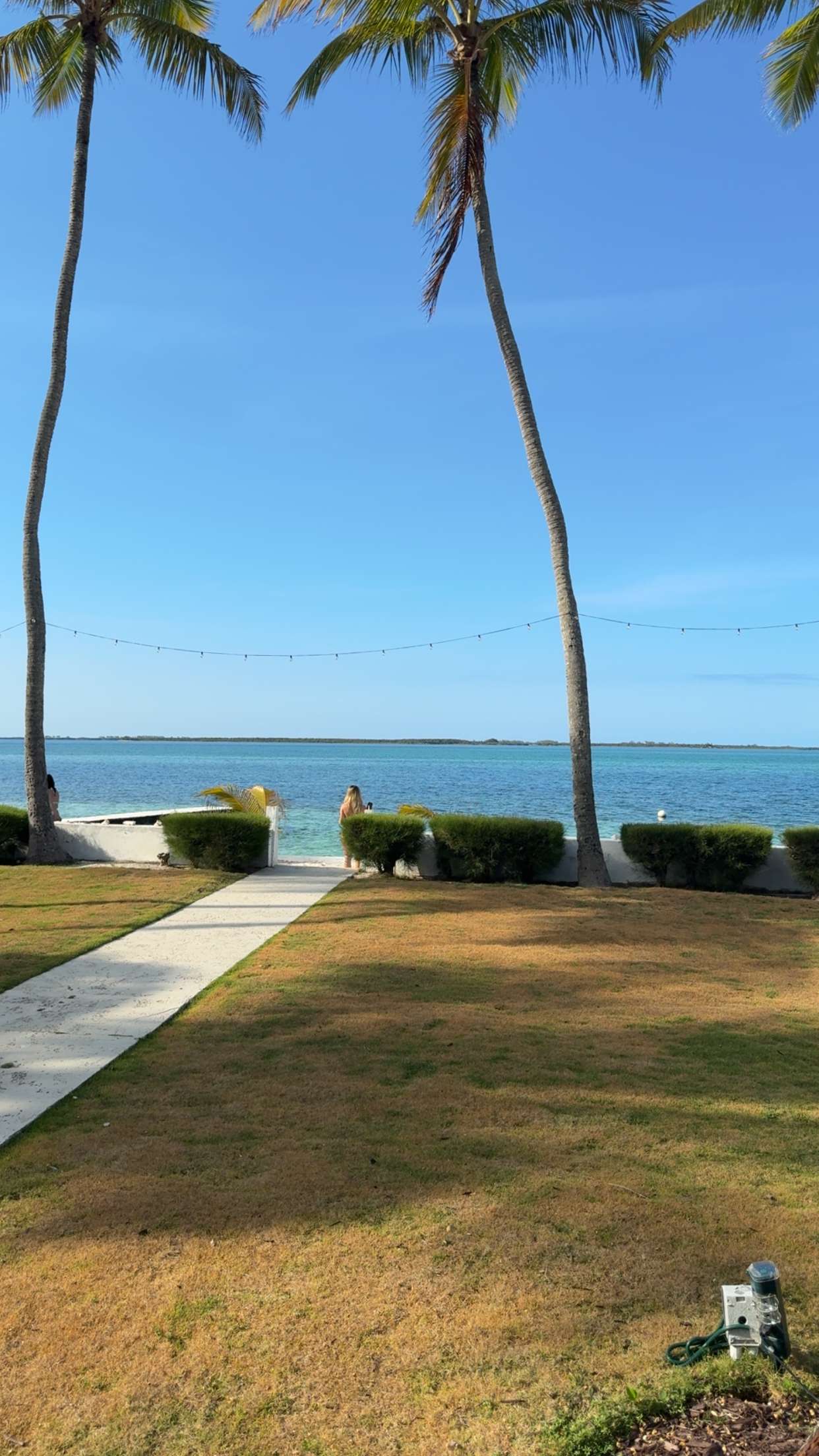 ppwyang0 snapchat image archive image