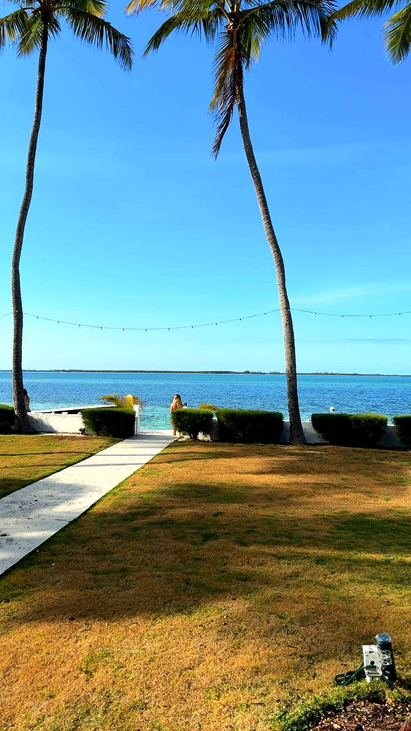 ppwyang0 image ~ Altpins