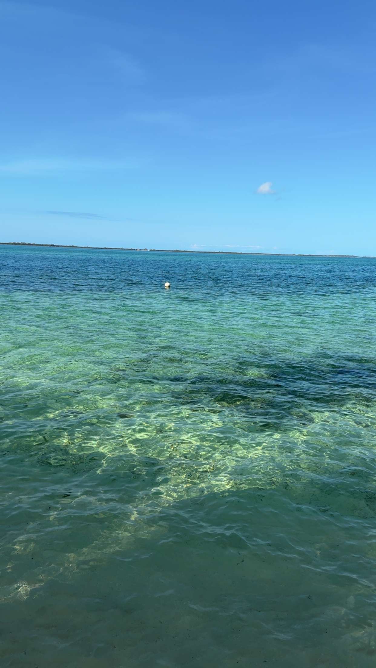 ppwyang0 snapchat image archive image