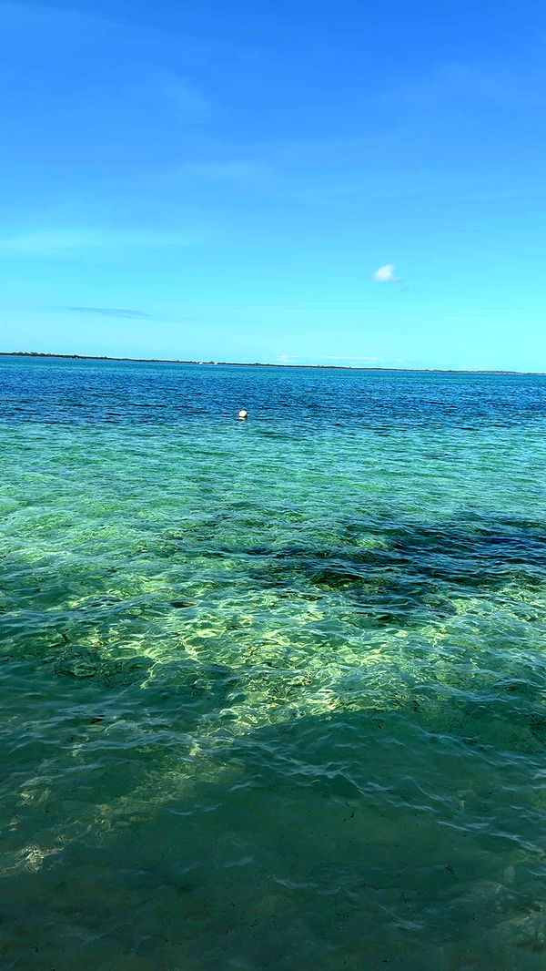 ppwyang0 image ~ Altpins