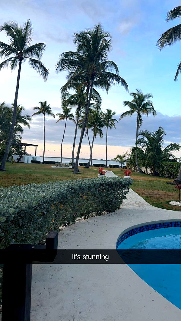 ppwyang0 image ~ Altpins