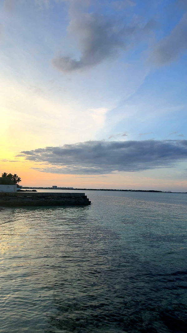 ppwyang0 image ~ Altpins