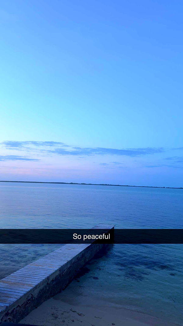 ppwyang0 image ~ Altpins