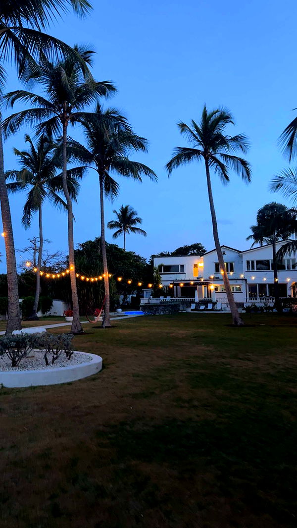 ppwyang0 image ~ Altpins