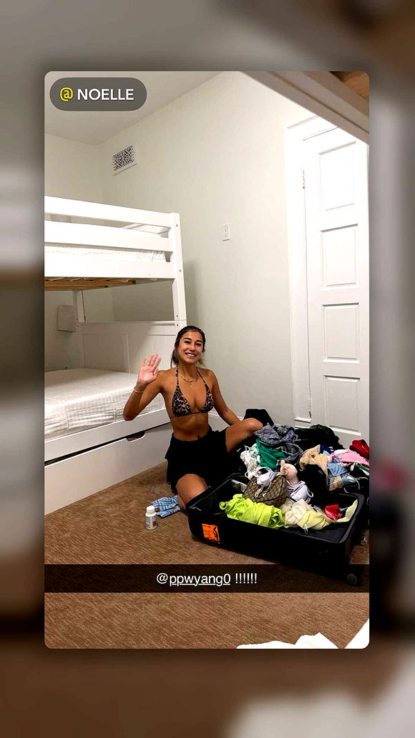 ppwyang0 image ~ Altpins