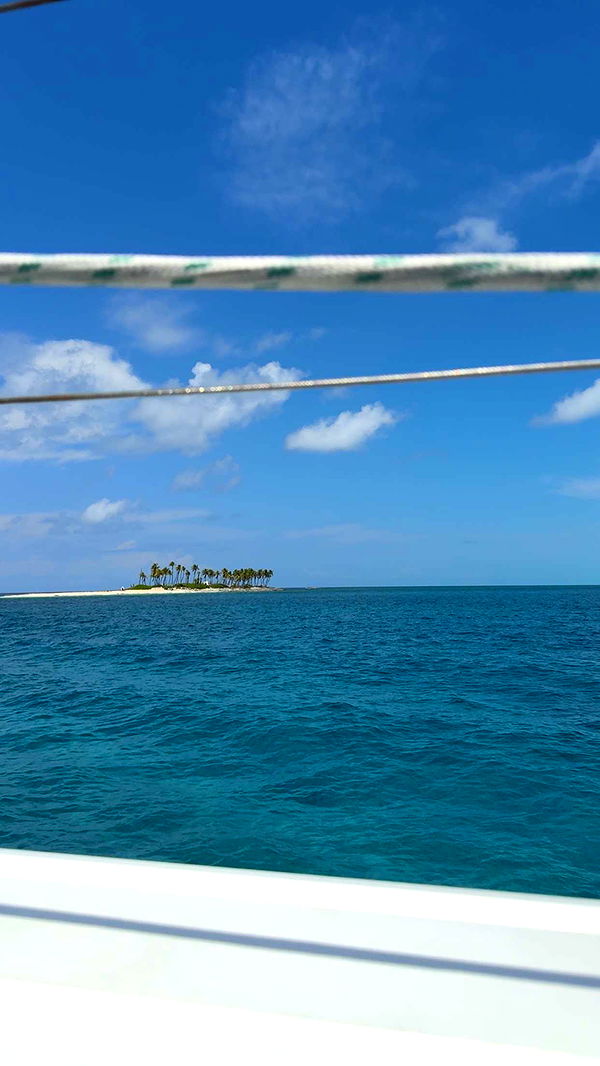 ppwyang0 image ~ Altpins