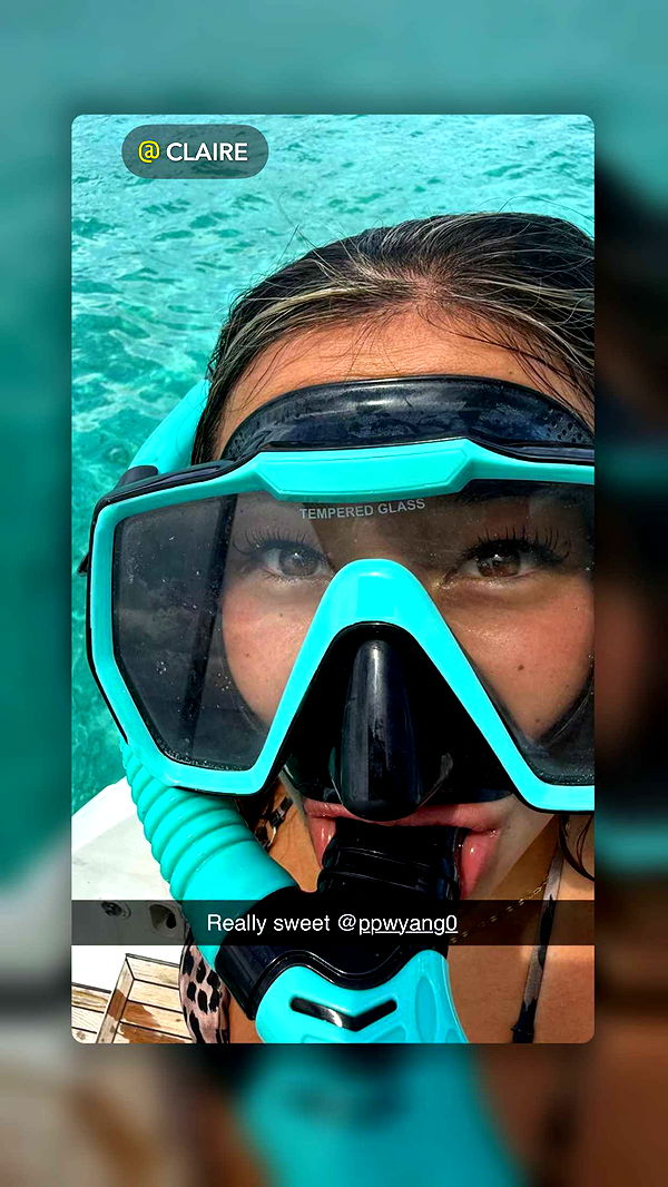 ppwyang0 image ~ Altpins