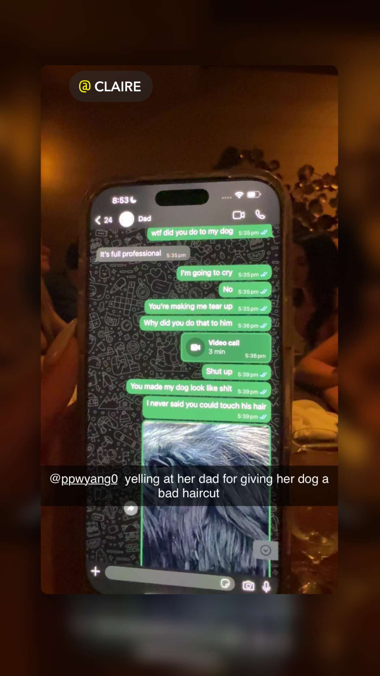 ppwyang0 snapchat image archive image