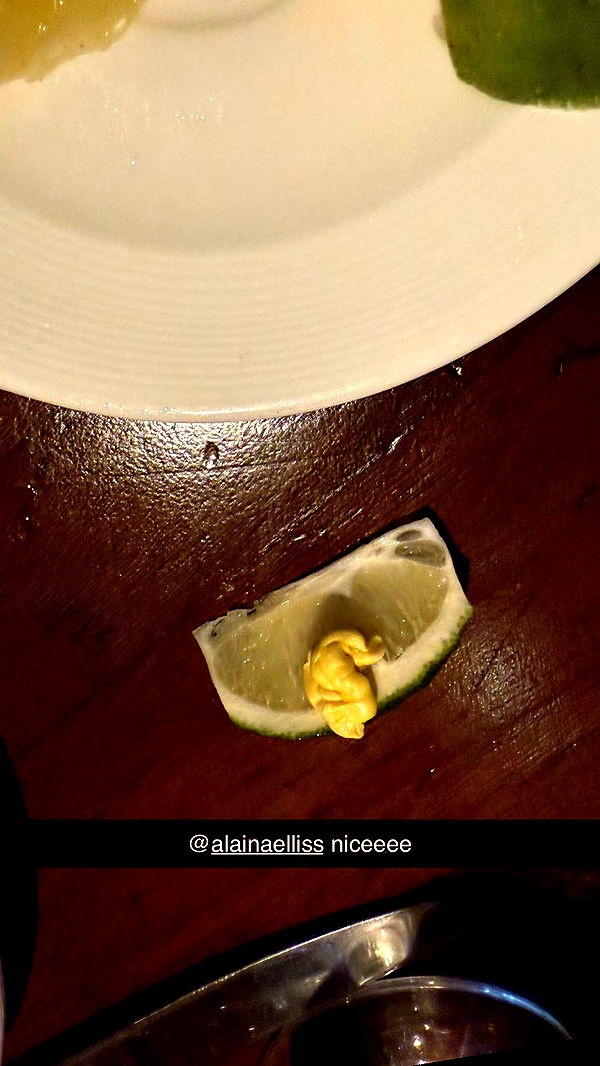 ppwyang0 image ~ Altpins