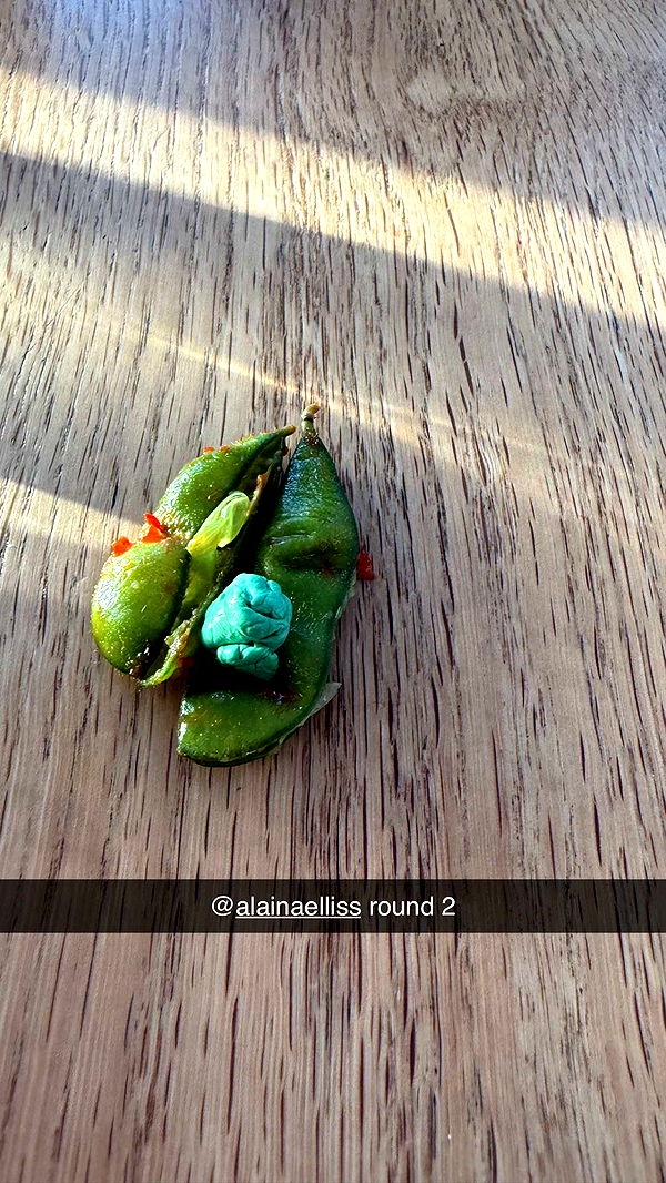 ppwyang0 image ~ Altpins