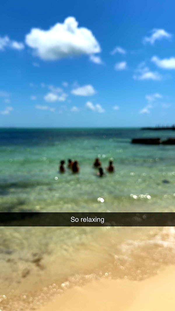 ppwyang0 image ~ Altpins